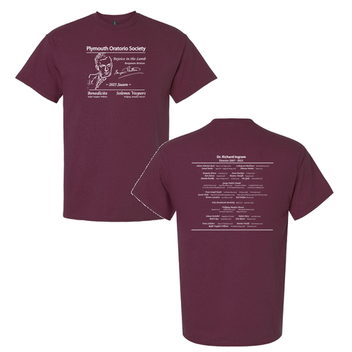 Gildan Ultra Cotton Basic T-Shirt -- Maroon