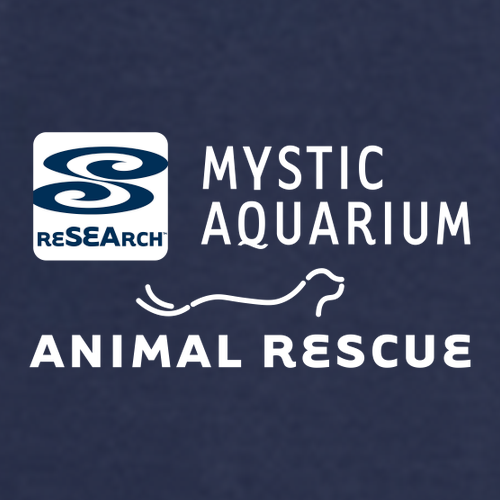 Mystic Aquarium -- True Navy Waterproof Jacket