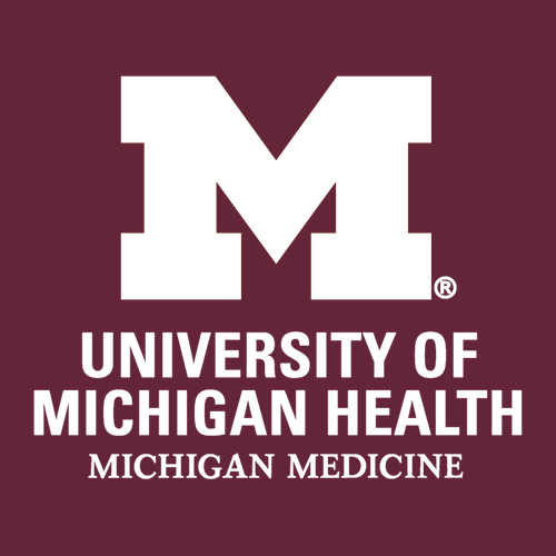 Gildan Ultra Cotton Longsleeve Basic T-Shirt -- Maroon