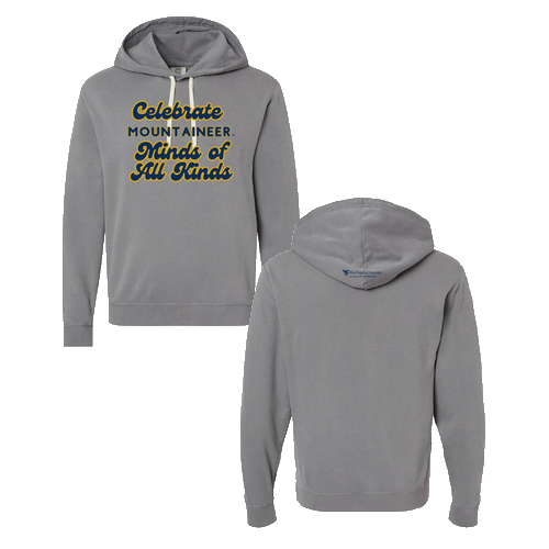 Comfort Colors Unisex Garment-Dyed Lightweight Fleece Hooded Sweatshirt -- Grey