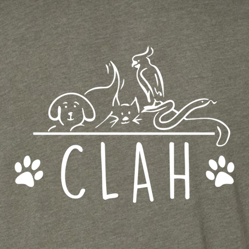 Bella Canvas Unisex Heather CVC T-Shirt -- Heather Military Green