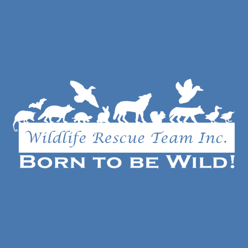 Jerzees 8 oz 50/50 Nublend Adult Hooded Sweatshirt -- Columbia Blue