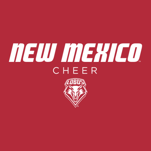 Next Level Apparel Mens Premium Jersey Tank -- Red NM