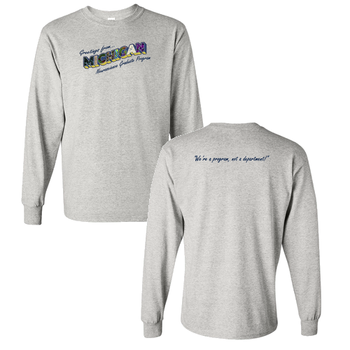 Mens/Unisex Gildan Heavy Cotton Long Sleeve Basic T-Shirt -- Ash