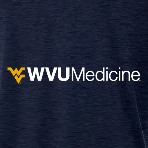 Charles River Mens Heathered Fleece Pullover -- Navy Heather