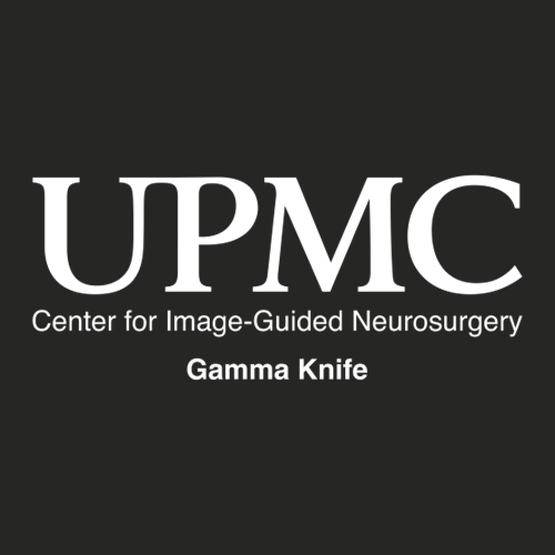 Gildan SoftStyle T-Shirt -- Black