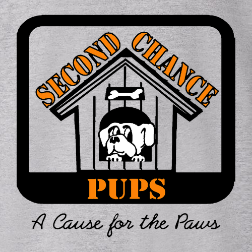 Hanes Perfect-T Ring Spun T-Shirt -- Light Steel