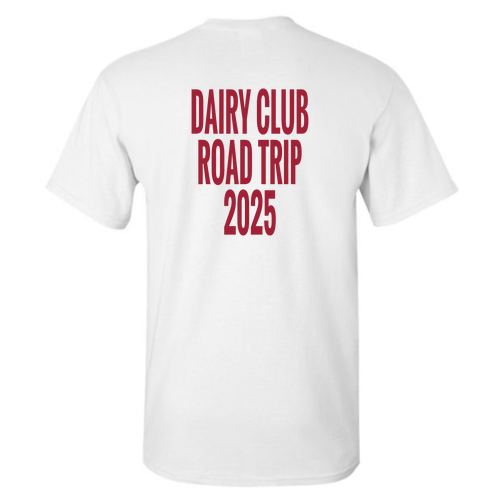 Gildan Heavy Cotton Basic T-Shirt -- White