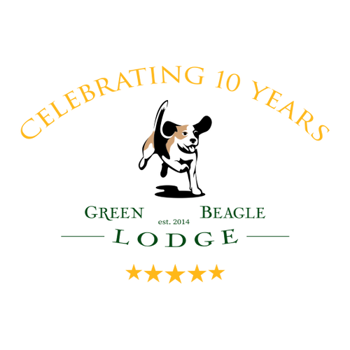 Comfort Colors Ringspun Garment Dyed T Shirt -- White