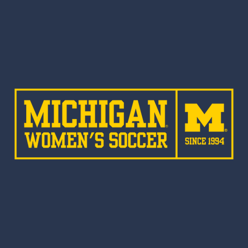 Ladies Nike  Team Rlegend Dri-Fit Tee -- College Navy