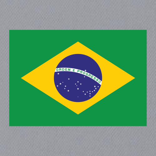 BRASIL Performance Tee -- ADULT Silver