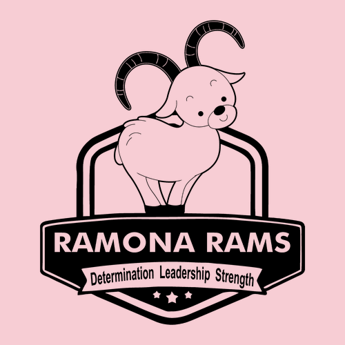 Gildan Youth Softstyle T-Shirt -- Light Pink