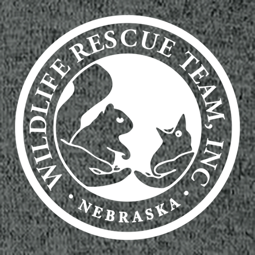 Hanes Perfect-T Ring Spun T-Shirt -- Charcoal Heather