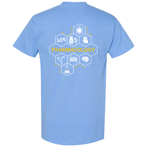 Gildan Heavy Cotton Basic T-Shirt -- Carolina Blue
