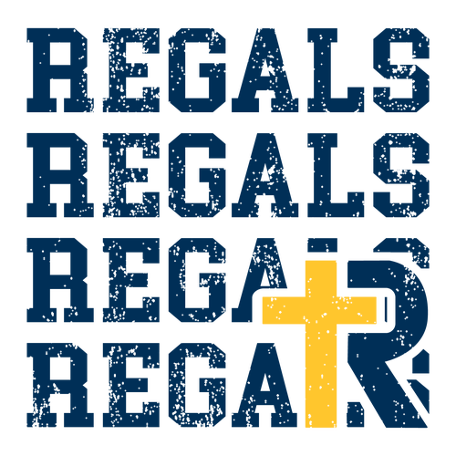 Comfort Colors Ringspun Garment Dyed T Shirt -- White