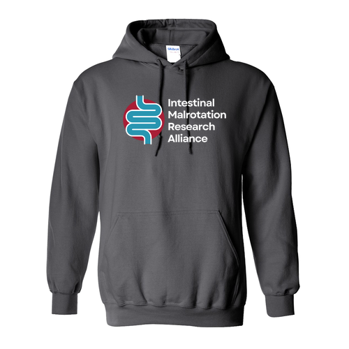 Gildan Heavy Blend Hooded Sweatshirt -- Charcoal
