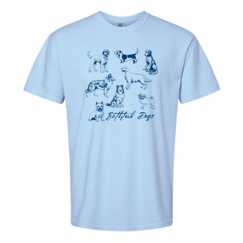 Comfort Colors Unisex Garment-Dyed Heavyweight T-Shirt -- Hydrangea