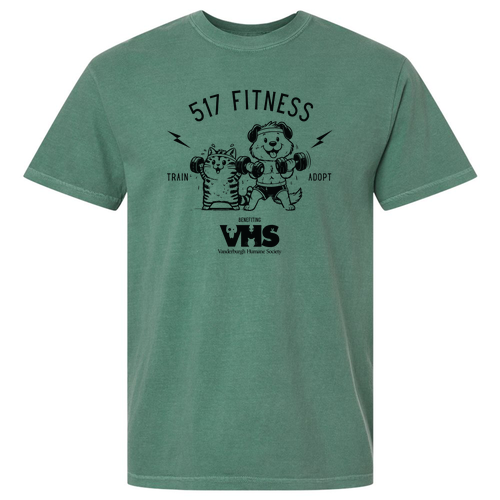 Comfort Colors Heavyweight Adult T-Shirt -- Light Green