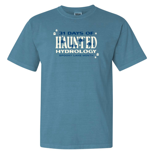 Comfort Colors Unisex Garment-Dyed Heavyweight T-Shirt -- Ice Blue