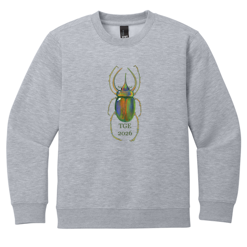 District Youth V.I.T. Fleece Crew -- Light Heather Grey