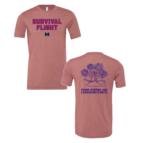 Mens/Unisex Bella Canvas Soft Fitted Heather CVC T-Shirt -- Heather Mauve