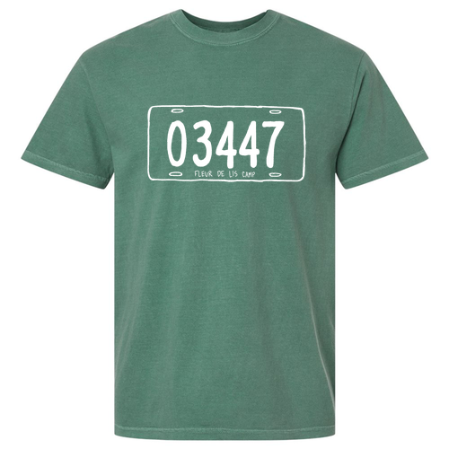 Comfort Colors Heavyweight Adult T-Shirt -- Light Green
