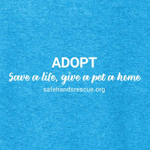 District Made Mens Perfect Tri Crew Tee -- Turquoise Frost