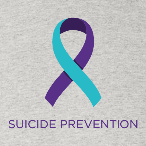 Mens/Unisex Suicide Prevention Bella Canvas Jersey T-Shirt -- Ash