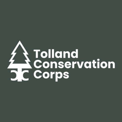 Hanes 7.8 Oz., 50/50 Comfort Blend Fleece Pullover Hood Adult -- Deep Forest