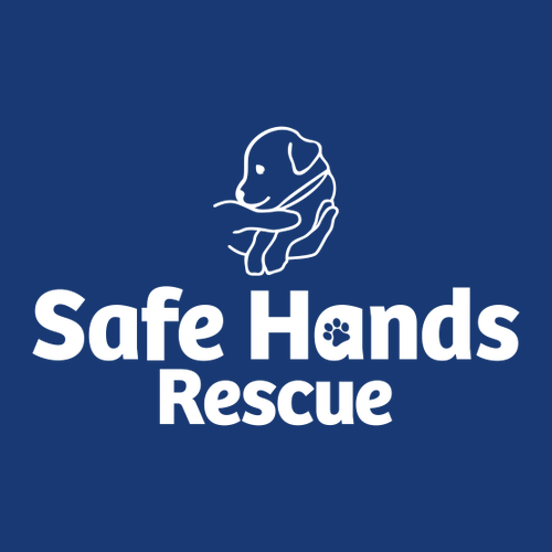 Augusta Two-Sleeve Stripe Jersey -- Royal / White