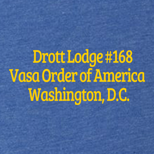 Next Level Mens Tri Blend V Neck -- Vintage Royal
