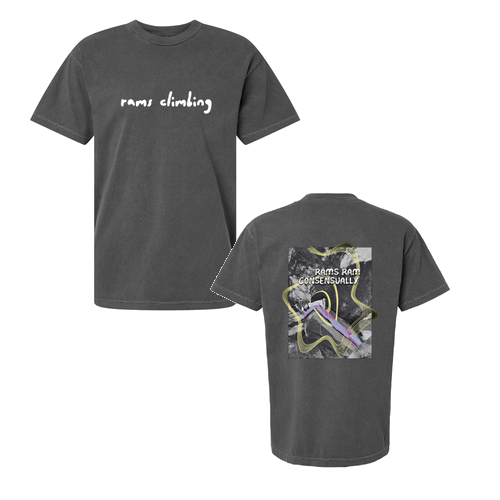 American Apparel Garment Dyed T-Shirt -- Faded Black