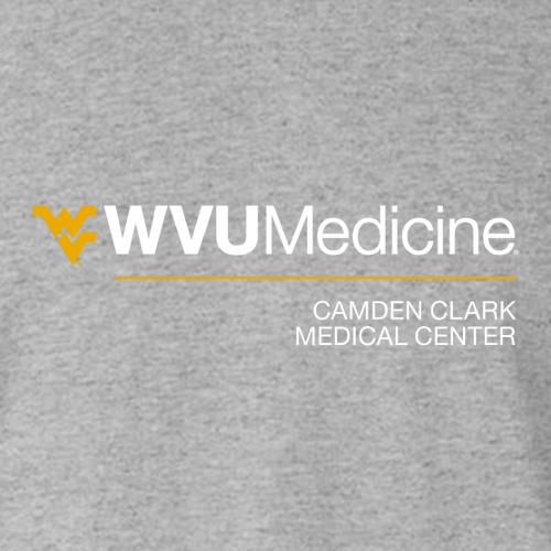 Gildan Heavy Cotton Basic T-Shirt -- Sport Grey