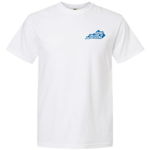 Comfort Colors Unisex Garment-Dyed Heavyweight T-Shirt -- White