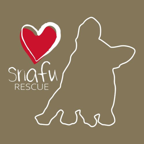 Comfort Colors Heavyweight Adult T-Shirt -- Khaki