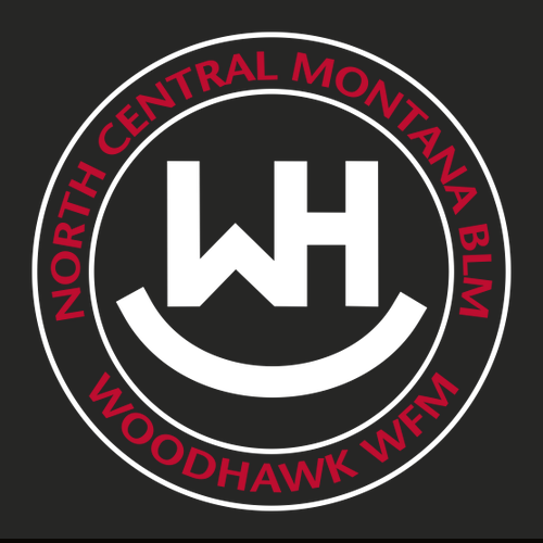Carhartt Rain Defender Paxton Heavyweight Hooded Sweatshirt Embroidered-- Black