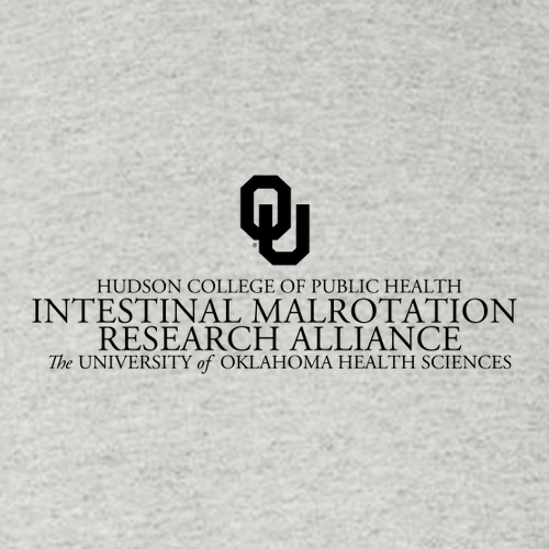 Gildan Heavy Blend Hooded Sweatshirt -- Ash