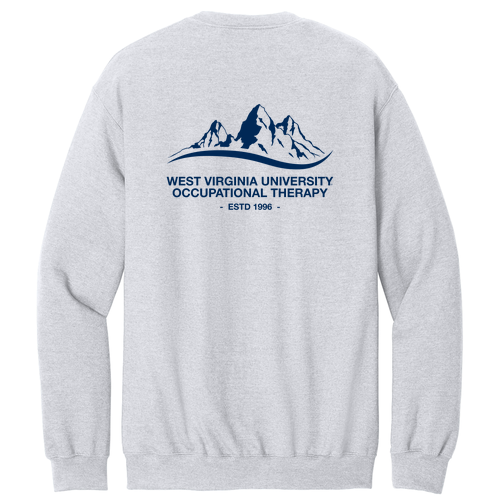 Gildan Adult Softstyle Fleece Crew Sweatshirt -- Ash Grey