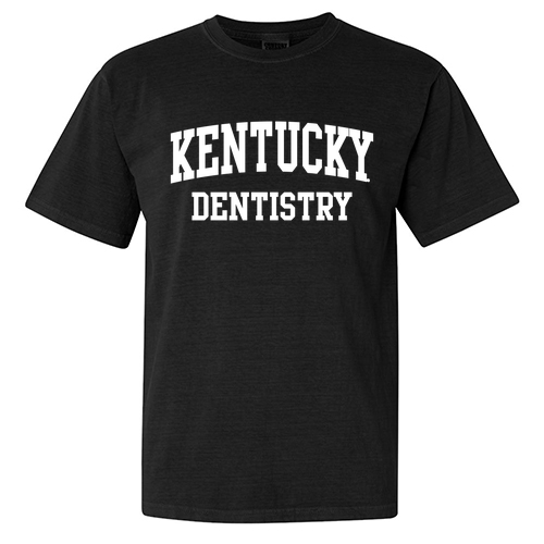 Comfort Colors Ringspun Garment Dyed T Shirt -- Black