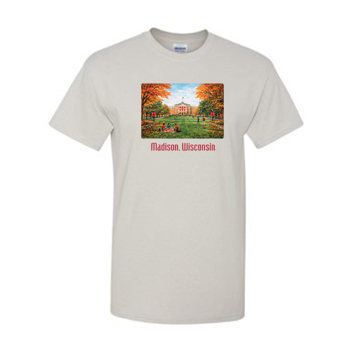 Gildan Heavy Cotton Basic T-Shirt -- Ice Grey