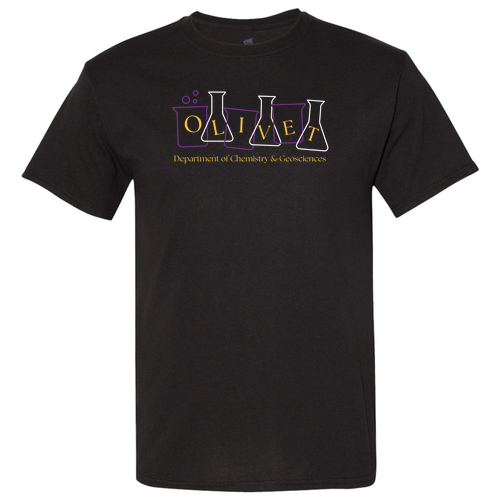 Hanes EcoSmart Adult Heavyweight 50/50 T-Shirt -- Black