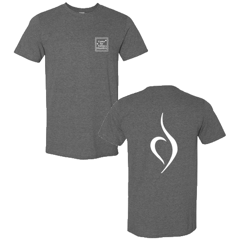 Gildan SoftStyle T-Shirt -- Heather Dark Grey