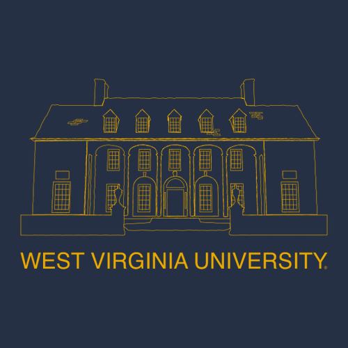 Gildan Softstyle Longsleeve T Shirt -- Navy