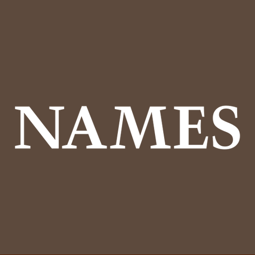 Youth Jerzees Classics Cotton T-Shirt -- Chocolate