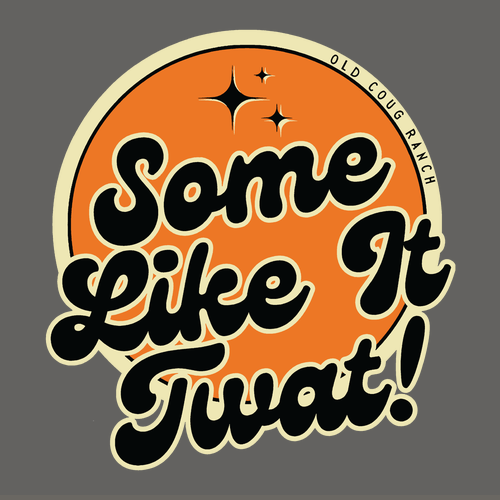 Gildan Ladies Fashion Fit T-Shirt -- Charcoal