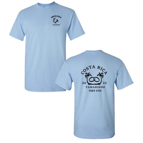 Gildan Heavy Cotton Basic T-Shirt -- Light Blue
