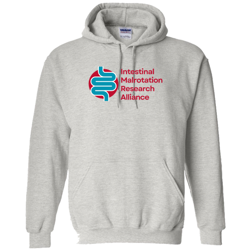 Gildan Heavy Blend Hooded Sweatshirt -- Ash