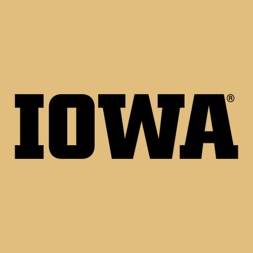 Comfort Colors Heavyweight Adult T-Shirt -- Mustard