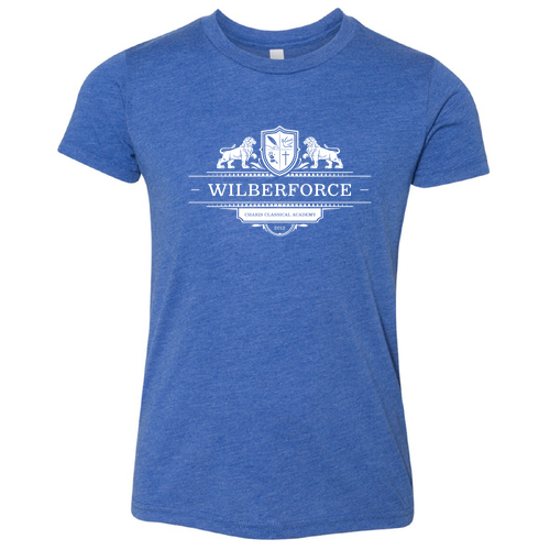 Bella Canvas Youth Triblend Jersey Short Sleeve Tee -- True Royal TriBlend