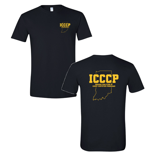 Gildan SoftStyle T-Shirt -- Black